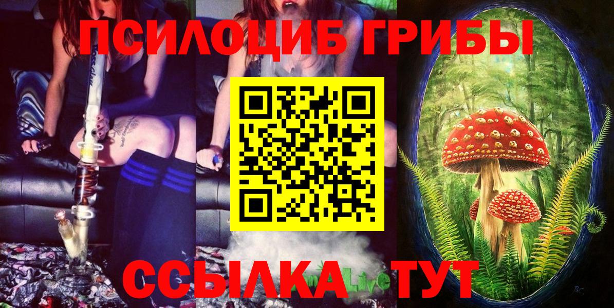 Галлюциногенные грибы MAGIC MUSHROOMS  Вход с VPN  Новый Уренгой  Псилоцибиновые грибы Magic Shrooms 
