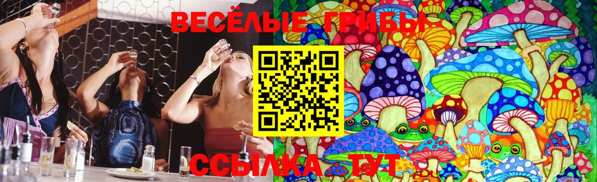 Псилоцибиновые грибы Psilocybe Новый Уренгой
